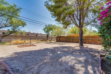Huge Back Yard
