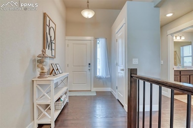 Entrance foyer with dark hardwood / wood-style floors