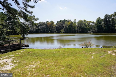 1002 1 W Main St, Salisbury, MD 21801 - photo 2