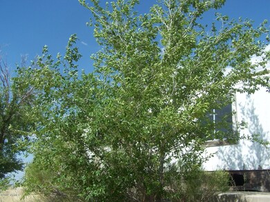 View with mobilehome