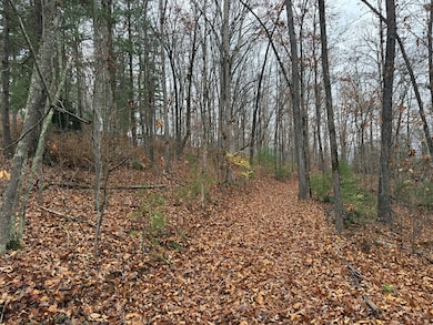 0 Rosenkranz Ln unit 154234, Hiawassee, NC 28904 - photo 4