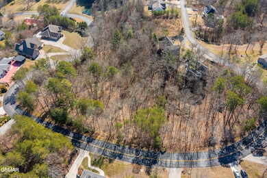 Lot 40 Kings Hills Blvd, Pigeon Forge, TN 37863 - photo 5