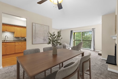 751 S Dwyer Ave unit F, Arlington Heights, IL 60005 - photo 3