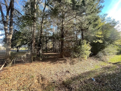 1555 Hwy 177a, Bonifay, FL 32425 - photo 7