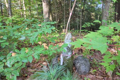 218-039 New Hampshire Route 175, Thornton, NH 03285 - photo 6