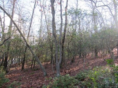 425 Walnut Valley Pkwy unit Lot 96, Arden, NC 28704 - photo 2