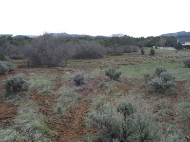 view along south lot line