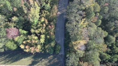 75 Highway 82 Hwy, Booth, AL 36064 - photo 6