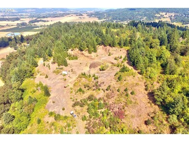 39700 SW Gibson Rd, Gaston, OR 97119 - photo 6