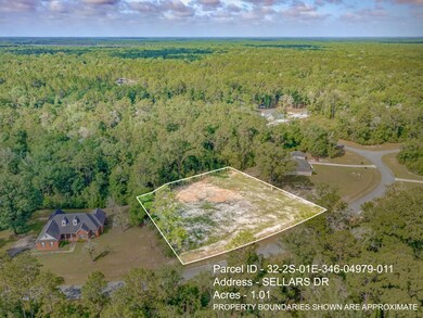 XX Sellars, Crawfordville, FL 32327 - photo 6