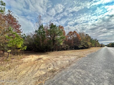 3 County Road 3122, McCool, MS 39108 - photo 2