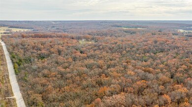 0 County Road 5320 (Tract C), Rolla, MO 65401 - photo 4