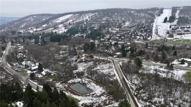 0 Hencoop Hollow Rd unit B1651705, Ellicottville, NY 14731 - photo 3