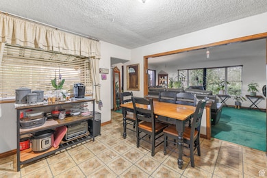 Dining room featuring baseboards and a textured ceiling
