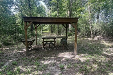 878 Joe Hudson Rd, Trinity, TX 75862 - photo 5