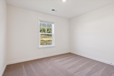 4027 Picket Line Dr, Jefferson City, TN 37760 - photo 5