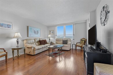 2617 Cove Cay Dr unit 709, Clearwater, FL 33760 - photo 3