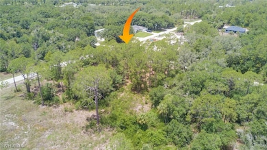 3201 E 14th St, Lehigh Acres, FL 33972 - photo 4