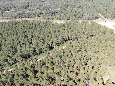 77 AC State Highway 13 Acres, Nekoosa, WI 54457 - photo 6