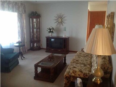Living room. Carpet throughout the home is in supe