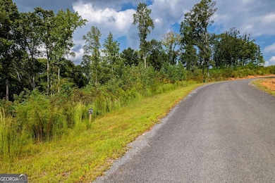 LT 275 Highgrove Dr, Talking Rock, GA 30175 - photo 6