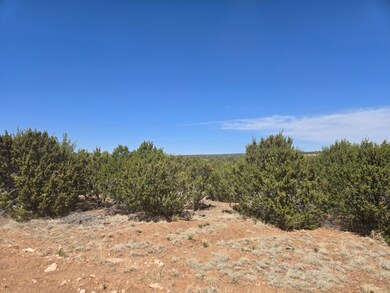 0 Oakwood Rd unit 7, Tajique, NM 87016 - photo 5