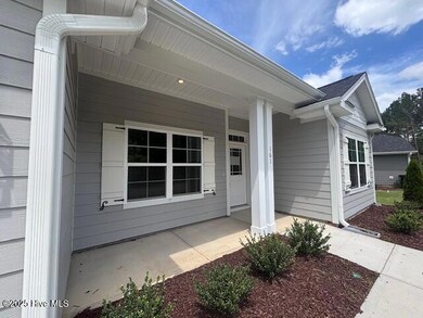 161 Firethorn Cir, Island Creek, NC 28466 - photo 2