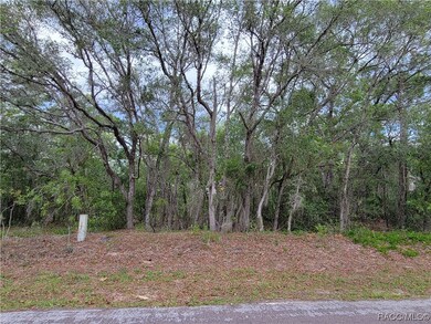 Beautifully wooded lot, high and dry at 110 feet a