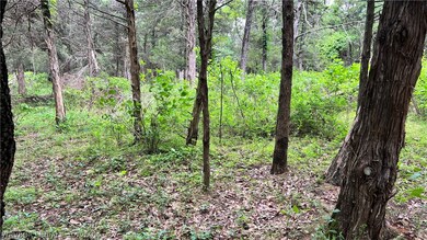 Partially wooded area