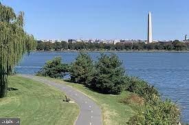 804 N Columbus St, Alexandria, VA 22314 - photo 6