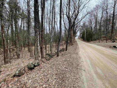 0 Turkey Shoot Rd unit 4906923, Acworth, NH 03601 - photo 5