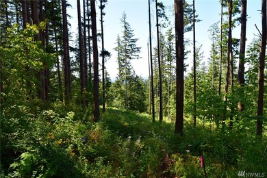 8366 N Pass Rd, Everson, WA 98247 - photo 6