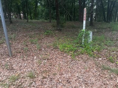 3801 Old Mill Run, Dothan, AL 36303 - photo 3