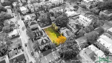 217 E Park Ave, Savannah, GA 31401 - photo 4