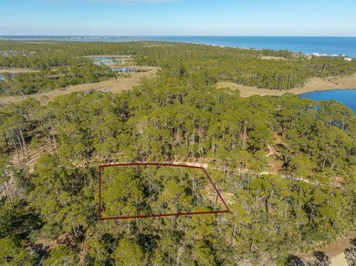 86 Lake View Dr, Bald Point, FL 32346 - photo 6