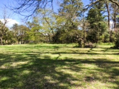 Lot View