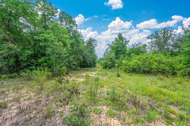 90 Acres Union Hill Rd, Vernon, FL 32462 - photo 4