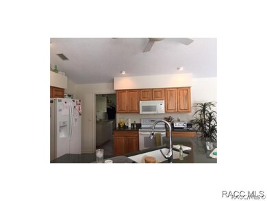 12 Heuchera Ct E, Homosassa, FL 34446 - photo 5