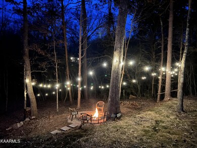 315 Cheeyo Ln, Loudon, TN 37774 - photo 4