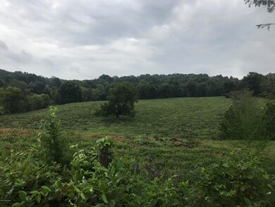 IMG_1515