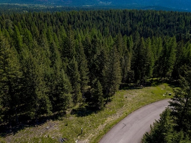 Nhn Aspen Glen Rd, Eureka, MT 59917 - photo 2