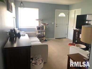 676 W 55th St, Davenport, IA 52806 - photo 2