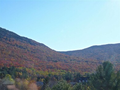 23 Black Bear Way unit 603, Waterville Valley, NH 03215 - photo 7