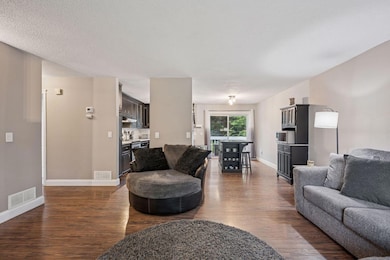 11476 W River Rd, Champlin, MN 55316 - photo 7