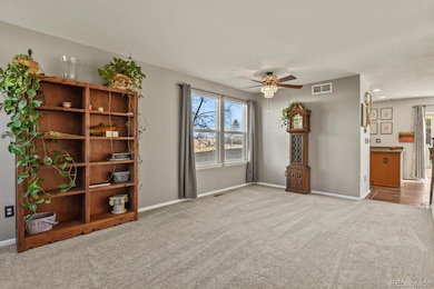 6336 Millbridge Ave, Castle Rock, CO 80104 - photo 5