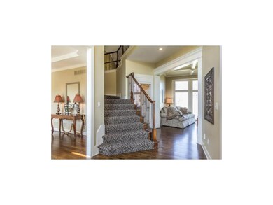 View from Foyer...Designer Carpet on Stairs, Iron 