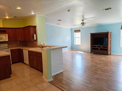 Entry into Open Kitchen and Living Room