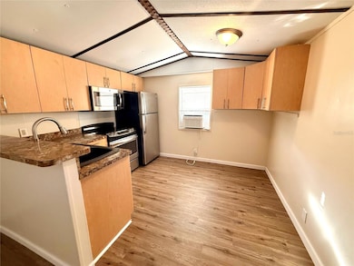 11324 Altoona Ave, New Port Richey, FL 34654 - photo 5