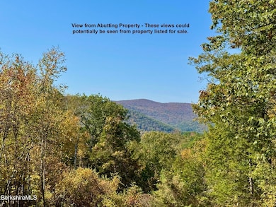 0 Potters Rd unit 248445, Charlemont, MA 01339 - photo 3