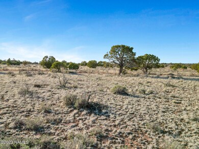 TimberCreekImagery-9